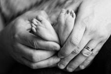 Sebastien JOUBERT - JOUBERT